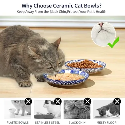 6 Inch Ceramic Cat Bowls: another photograph
