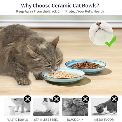 6 Inch Ceramic Cat Bowls: another photograph