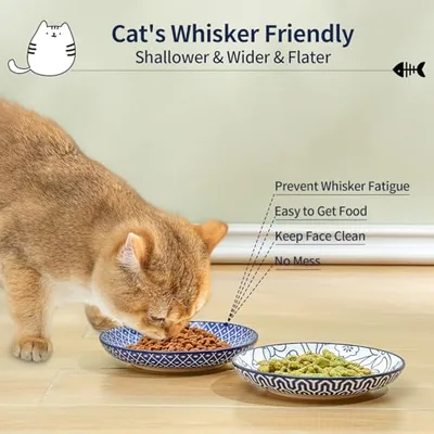 6 Inch Ceramic Cat Bowls