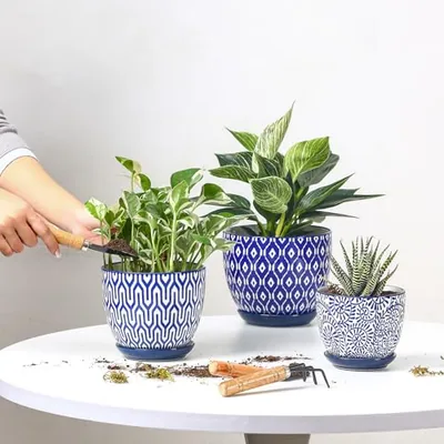 Ceramic Plant Pots