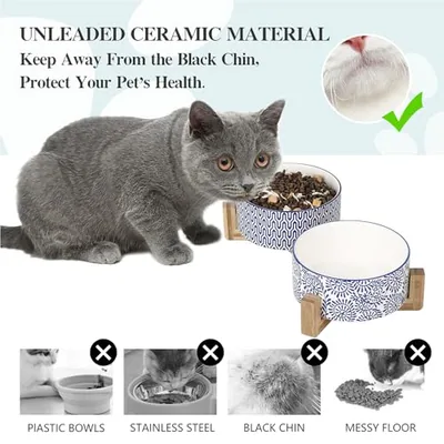 Ceramic 30 OZ Dog Bowls
