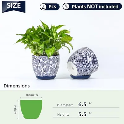 Ceramica Plant Pots