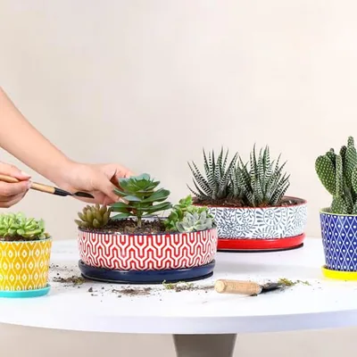 Ceramic Succulent Pots
