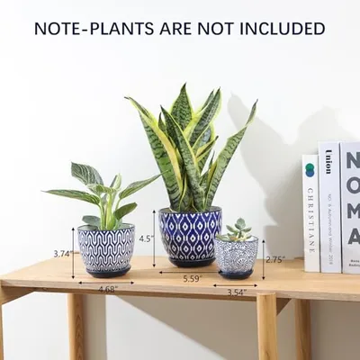Ceramic Plant Pots