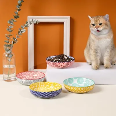 5.6 Inch Ceramic Cat Bowls