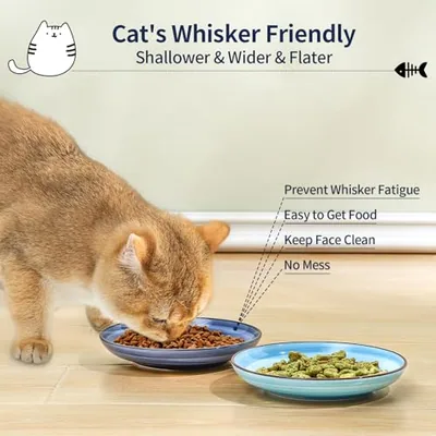 6 Inch Ceramic Cat Bowls