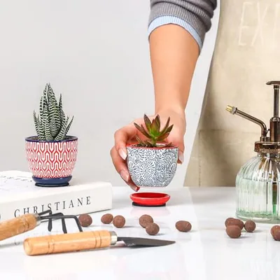 Ceramic 2.4 Inch Succulent Pots