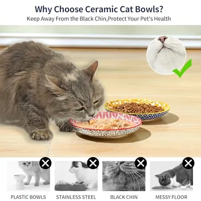 6 Inch Ceramic Cat Bowls: another photograph