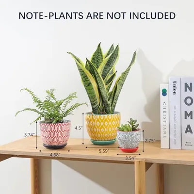 Ceramic Plant Pots
