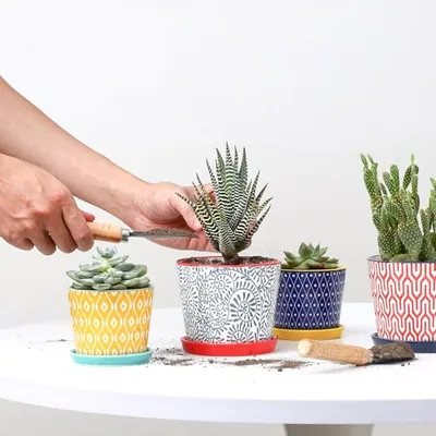 Ceramic Succulent Pots