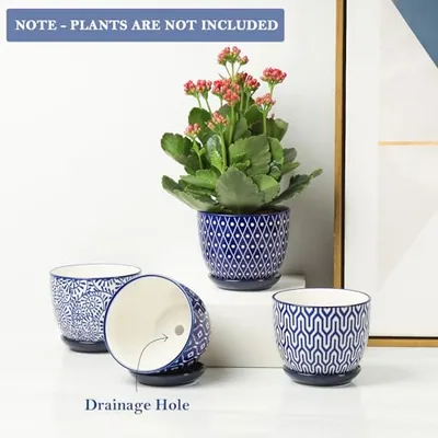 Ceramic Plant Pots