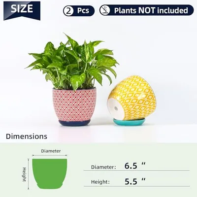 Ceramica Plant Pots