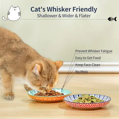 6 Inch Ceramic Cat Bowls