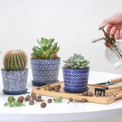 Ceramic Succulent Pots